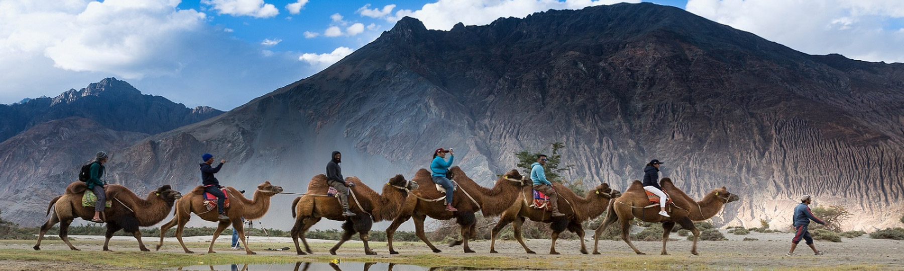 Camel Safari In Ladakh, India - GeTS Holidays