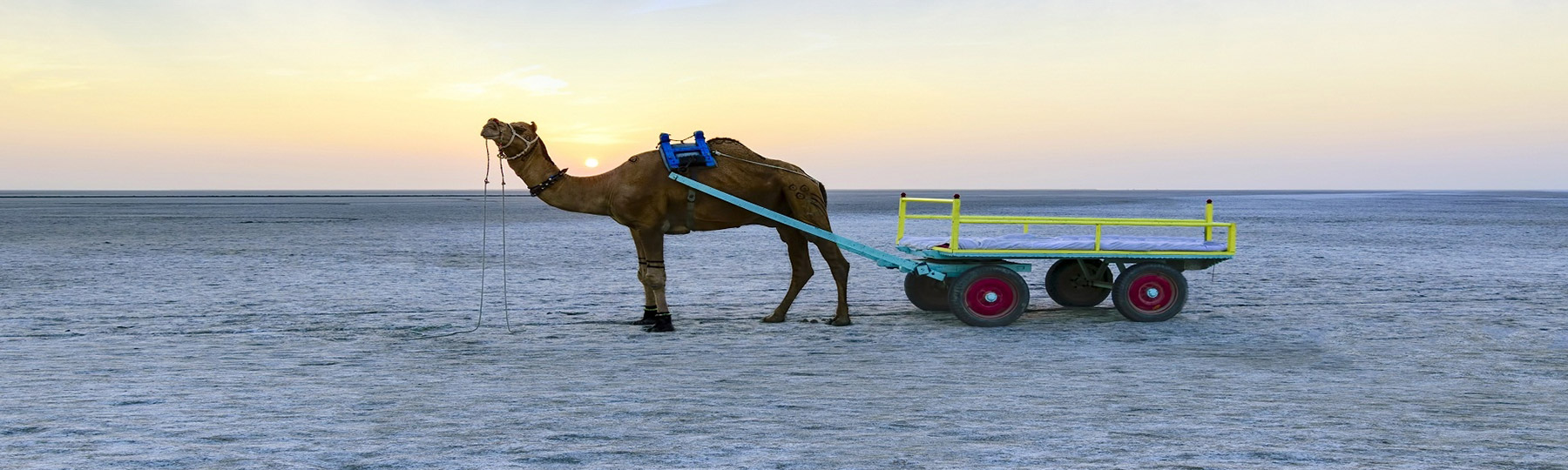 rann utsav tour package