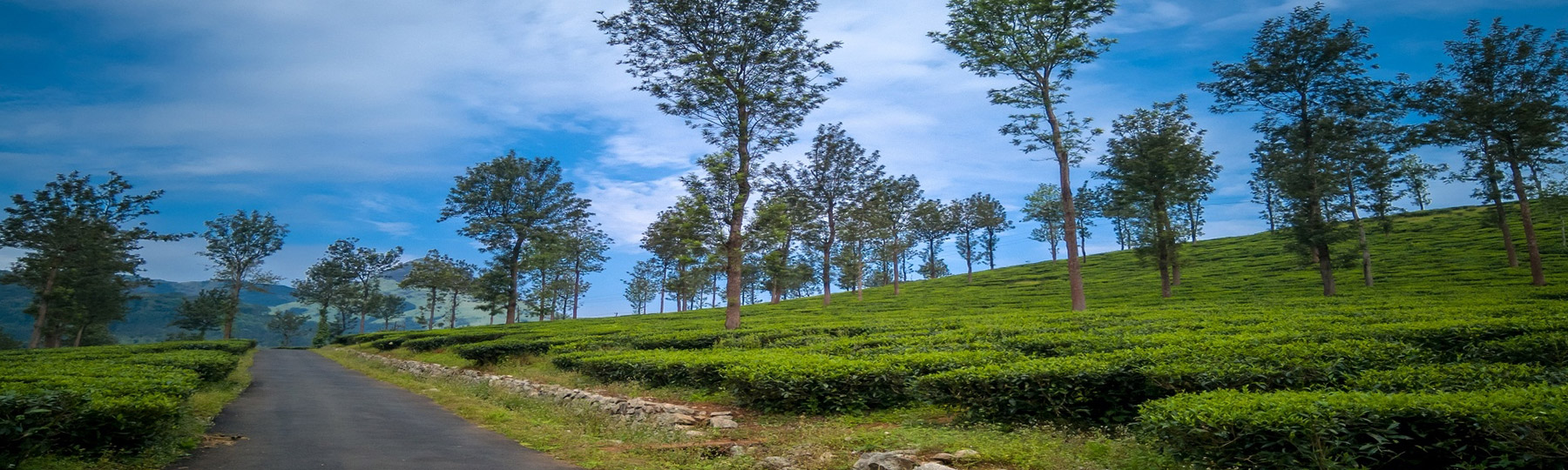 karnataka travel package