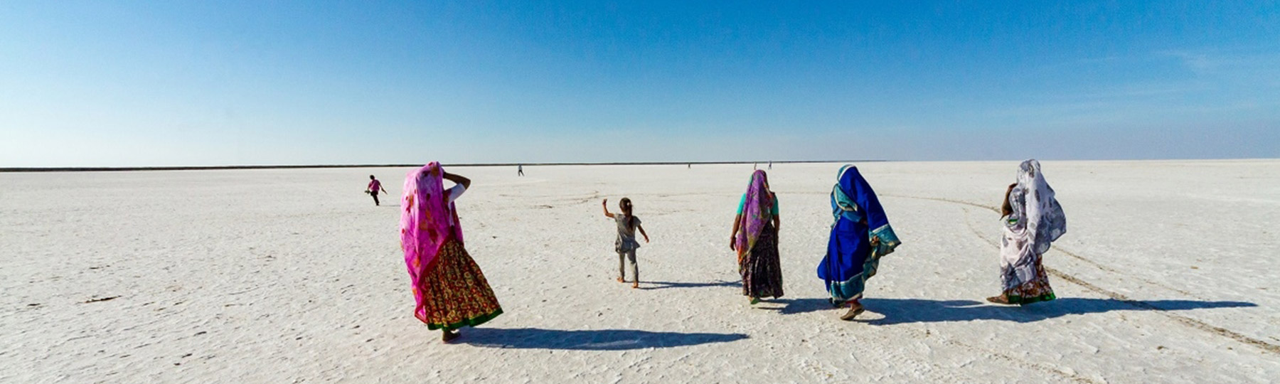 wildlife gujarat tour package