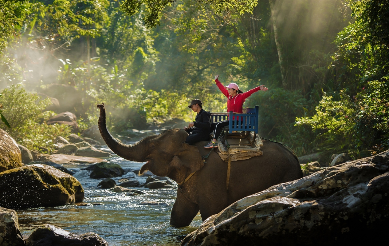 Women elephant riding india - GeTS Holidays