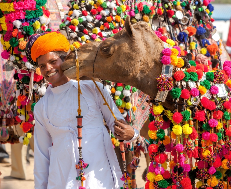 Golden Triangle with Pushkar Fair