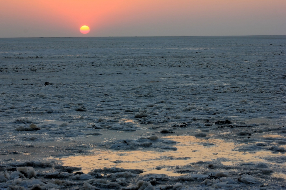 Gujarat with Wildlife and White Salt Desert