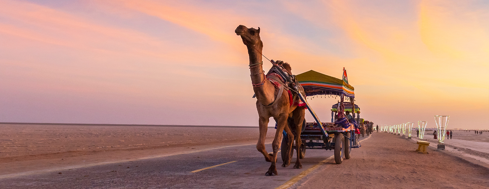 Rann Utsav with White Desert and Beach