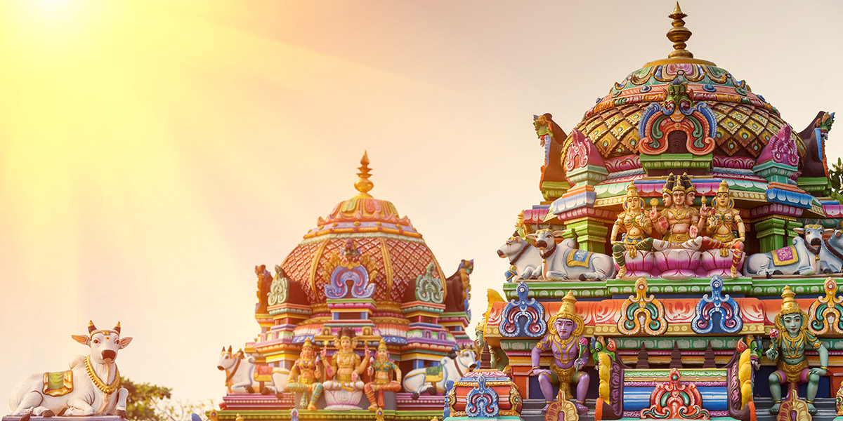 Private Half Day Chennai Tour including Sunset at Marina Beach with Dinner