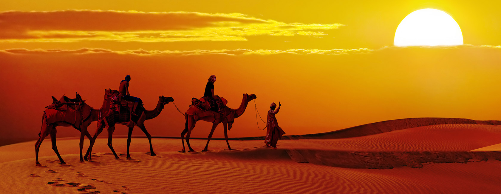 Private Jaisalmer Camel Safari with dinner