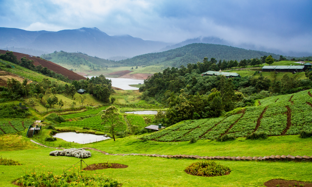 Best Of South Indian Hill Stations &ndash; Coorg & Ooty
